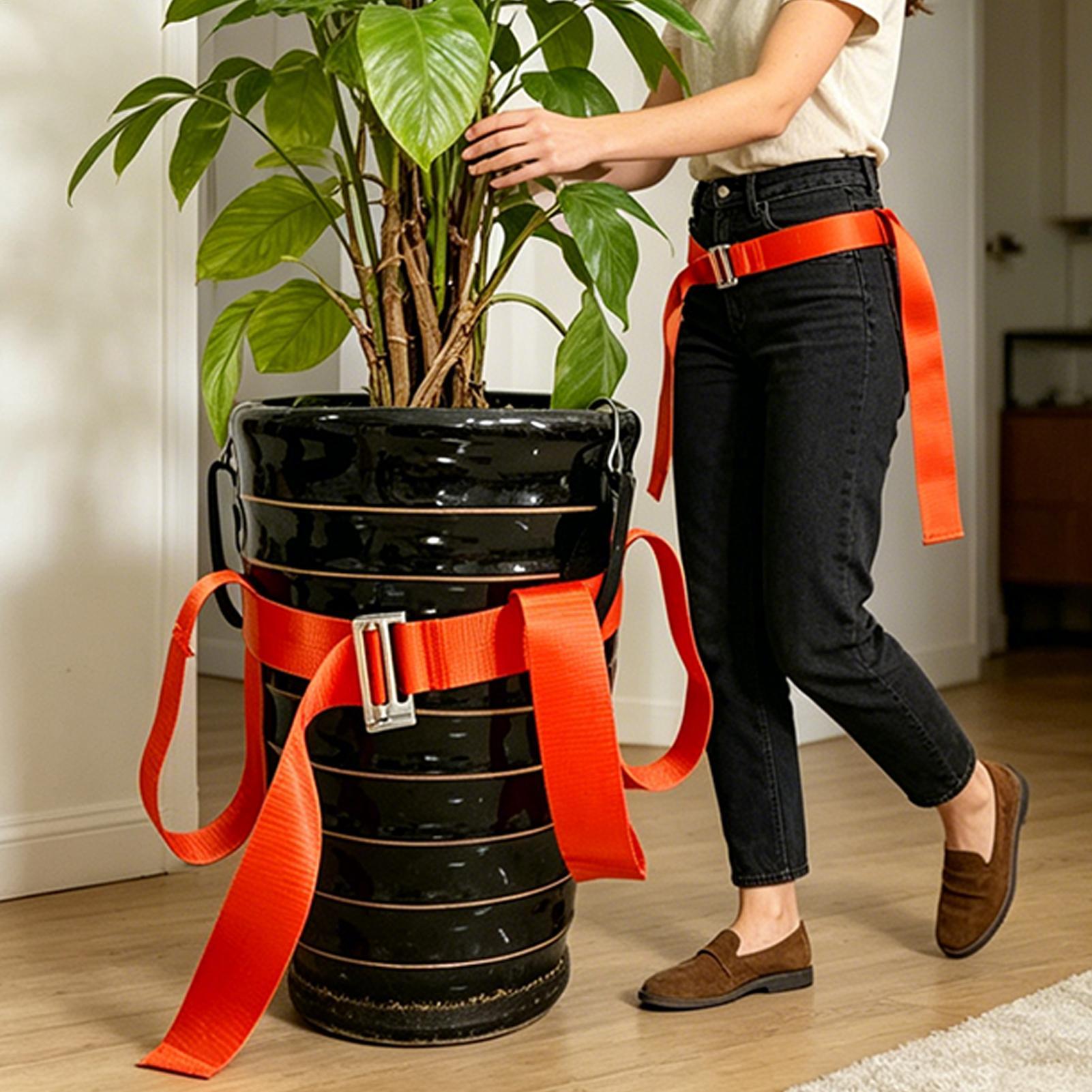 حزام رفع النباتات في الأواني،  - مراجعة Lifting Belt وسعره